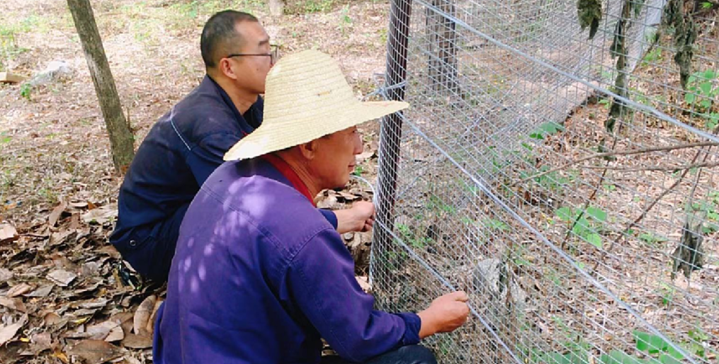 加固校園防護欄，保障安全除隱患