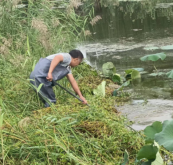 疾風知勁草