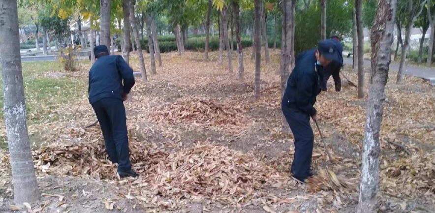 齊心清掃落葉， 共創文明校園